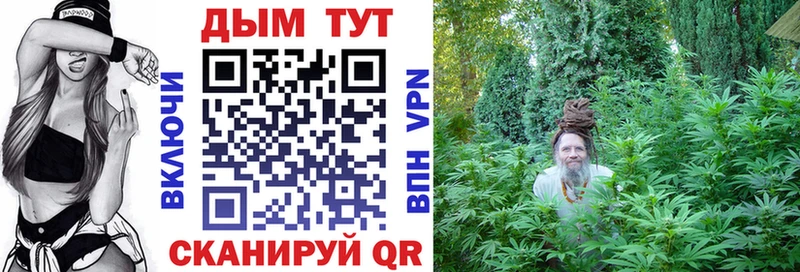 Купить где  Надым  Бошки Шишки THC 21% 
